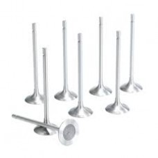 Kомплект клапанов