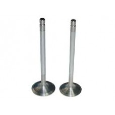 Комплект клапанов впуск и выпуск 